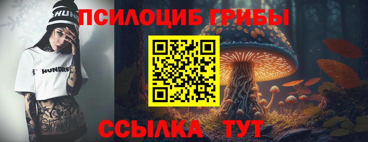 Стрежевой  Псилоцибиновые грибы прущие грибы  Вход с VPN 